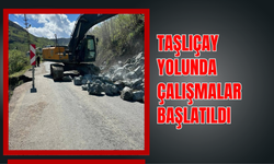Taşlıçay Yolunda Çalışmalar Başlatıldı