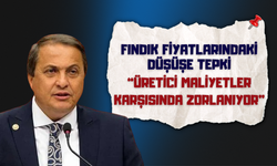 FINDIK FİYATLARINDAKİ DÜŞÜŞE TEPKİ