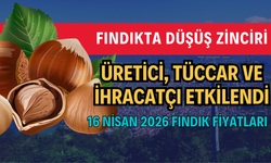 Fındıkta Düşüş Zinciri: Üretici, Tüccar ve İhracatçı Etkilendi