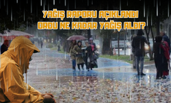 Yağış Raporu Açıklandı: Ordu Ne Kadar Yağış Aldı?