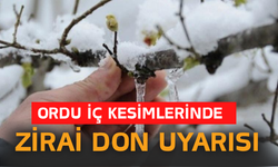 Ordu İç Kesimlerinde Zirai Don Uyarısı