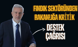 Fındık Sektöründen Bakanlığa Kritik Destek Çağrısı