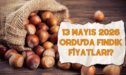 13 Mayıs 2026 Ordu’da Fındık Fiyatları?