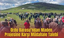 Ordu Barosu’ndan Maden Projesine Karşı Müdahale Talebi