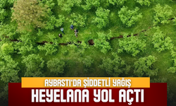Aybastı’da Şiddetli Yağış Heyelana Yol Açtı