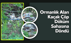 Ormanlık Alan Kaçak Çöp Döküm Sahasına Döndü