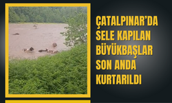 Çatalpınar’da Sele Kapılan Büyükbaşlar Son Anda Kurtarıldı