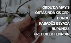 Ordu’da Mayıs Ortasında Kış Geri Döndü: Kabadüz Beyaza Büründü, Üreticiler Tedirgin