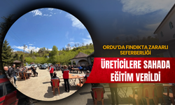 Ordu’da Fındıkta Zararlı Seferberliği: Üreticilere Sahada Eğitim Verildi