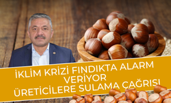 İklim Krizi Fındıkta Alarm Veriyor: Üreticilere Sulama Çağrısı