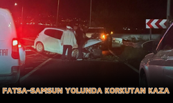 Fatsa-Samsun Yolunda Korkutan Kaza