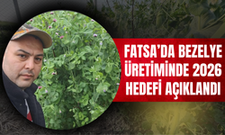 Fatsa’da Bezelye Üretiminde 2026 Hedefi Açıklandı