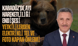 Kabadüz’de Ayı Hareketliliği Endişesi: Yetkililerden Elektrikli Tel ve Foto Kapan Önlemi