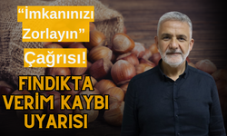 “İmkanınızı Zorlayın” Çağrısı: Fındıkta Verim Kaybı Uyarısı