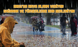 Ordu’da Hava Alarm Veriyor: Sağanak ve Yükseklerde Kar Bekleniyor