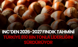 INC’den 2026-2027 Fındık Tahmini: Türkiye 810 Bin Tonla Liderliğini Sürdürüyor
