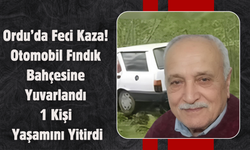 Ordu’da Feci Kaza: Otomobil Fındık Bahçesine Yuvarlandı, 1 Kişi Yaşamını Yitirdi