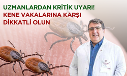 Uzmanlardan Kritik Uyarı: Kene Vakalarına Karşı Dikkatli Olun