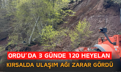 Ordu’da 3 Günde 120 Heyelan