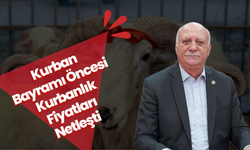 Kurban Bayramı Öncesi Kurbanlık Fiyatları Netleşti