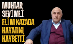Muhtar Sevimli Elim Kazada Hayatını Kaybetti