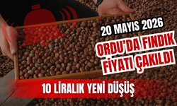 Ordu’da Fındık Fiyatı Çakıldı: 10 Liralık Yeni Düşüş