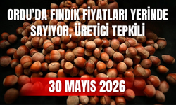 Ordu’da Fındık Fiyatları Yerinde Sayıyor, Üretici Tepkili