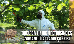 Ordu’da Fındık Üreticisine Eş Zamanlı İlaçlama Çağrısı