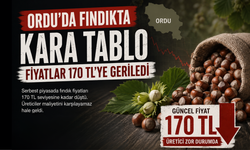 Ordu’da Fındıkta Kara Tablo: Fiyatlar 170 TL’ye Geriledi