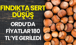 Fındıkta Sert Düşüş: Ordu’da Fiyatlar 180 TL’ye Geriledi