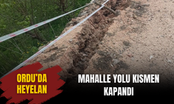 Ordu’da Heyelan: Mahalle Yolu Kısmen Kapandı