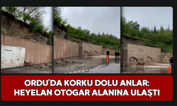 Ordu’da Korku Dolu Anlar: Heyelan Otogar Alanına Ulaştı