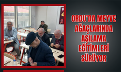 Ordu’da Meyve Ağaçlarında Aşılama Eğitimleri Sürüyor