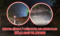 Ordu’da Şiddetli Yağış Heyelana Neden Oldu: İki İlçe Arası Yol Kapandı