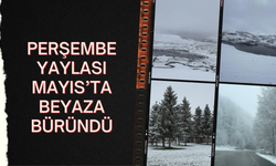 Perşembe Yaylası Mayıs’ta Beyaza Büründü