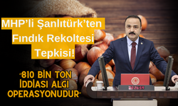 MHP’li Şanlıtürk’ten Fındık Rekoltesi Tepkisi: “810 Bin Ton İddiası Algı Operasyonudur”