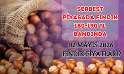 Serbest Piyasada Fındık 180-190 TL Bandında