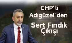 CHP’li Adıgüzel’den Sert Fındık Çıkışı