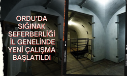 Ordu’da Sığınak Seferberliği: İl Genelinde Yeni Çalışma Başlatıldı