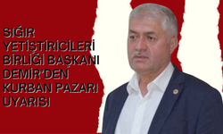 Sığır Yetiştiricileri Birliği Başkanı Demir’den Kurban Pazarı Uyarısı