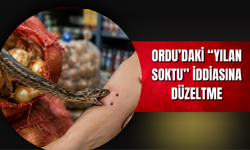 Ordu’daki “Yılan Soktu” İddiasına Düzeltme