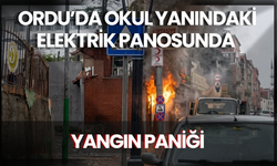 Ordu’da Okul Yanındaki Elektrik Panosunda Yangın Paniği