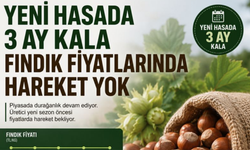 Yeni Hasada 3 Ay Kala Fındık Fiyatlarında Hareket Yok