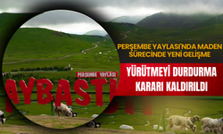 YÜRÜTMEYİ DURDURMA KARARI KALDIRILDI