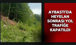 Aybastı’da Heyelan Sonrası Yol Trafiğe Kapatıldı