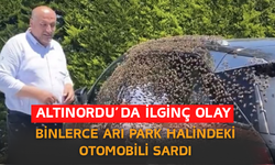 Altınordu’da İlginç Olay: Binlerce Arı Park Halindeki Otomobili Sardı