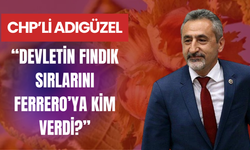CHP’li Adıgüzel: “Devletin Fındık Sırlarını Ferrero’ya Kim Verdi?”