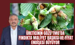 Üreticinin Gözü TMO’da: Fındıkta Maliyet Baskısı ve Fiyat Endişesi Büyüyor