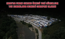Ordu'da Fındık Sezonu Öncesi Yeni Düzenleme: Tek Konaklama Merkezi Saraycık Olacak