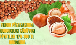 Fındık Piyasasında Durgunluk Sürüyor: Fiyatlar 170–180 TL Bandında
